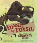 Image for Fossil by fossil  : comparing dinosaur bones