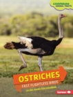 Image for Ostriches