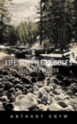 Image for Life`S  Little  Pebbles: Quotable Quotes