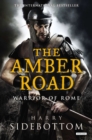 Image for Amber Road: Warrior of Rome: Book 6.