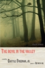 Image for Devil in the Valley