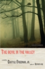 Image for Devil in the Valley: A Novel.