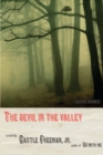 Image for Devil in the Valley