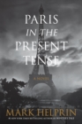 Image for Paris in the Present Tense: A Novel