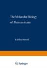 Image for Molecular Biology of Picornaviruses : vol.23