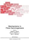 Image for Mechanisms in Fibre Carcinogenesis