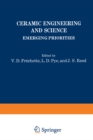 Image for Ceramic Engineering and Science: Emerging Priorities