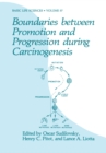 Image for Boundaries between Promotion and Progression during Carcinogenesis