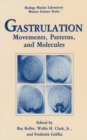 Image for Gastrulation: Movements, Patterns and Molecules