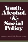 Image for Youth, Alcohol, and Social Policy