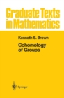 Image for Cohomology of Groups