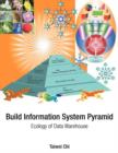 Image for Build Information System Pyramid