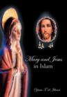 Image for Mary and Jesus in Islam