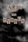 Image for Ari and The Dybbuk