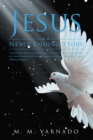 Image for Jesus Is a Never Ending Story: &amp;quote;a Book Filled With Genuine Holy Spirit Encounters, Entrusted in the Hands of a Chosen Servant Who Has Never Experienced, the Gift of Speaking in Other/unknown Tongues&amp;quote;