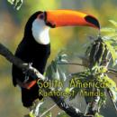 Image for South America Rainforest Animals