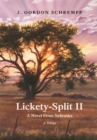 Image for Lickety-split Ii: A Novel from Nebraska