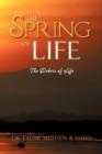 Image for The Spring of Life : The Debris of Life