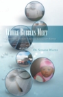 Image for Where Bubbles Meet: A Doctor&#39;s Journey Through Community Service