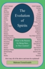 Image for Evolution of Spirits: What Is the Reason for Being Here, in This Creation?
