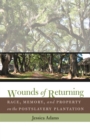 Image for Wounds of Returning: Race, Memory, and Property On the Postslavery Plantation
