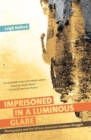 Image for Imprisoned in a Luminous Glare : Photography and the African American Freedom Struggle