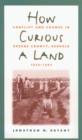 Image for How Curious a Land: Conflict and Change in Greene County, Georgia, 1850-1885