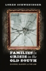Image for Families in crisis in the Old South  : divorce, slavery, and the law