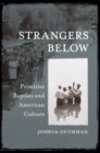 Image for Strangers below: Primitive Baptists and American culture