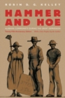Image for Hammer and Hoe