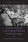 Image for Gendered geographies in Puerto Rican culture  : spaces, sexualities, solidarities