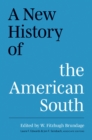 Image for The new history of the American South