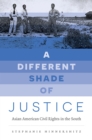 Image for A different shade of justice: Asian American civil rights in the South
