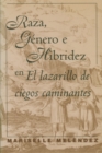 Image for Raza, Genero e Hibridez en El Lazarillo de ciegos caminantes