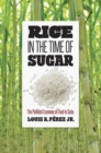 Image for Rice in the Time of Sugar