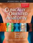 Image for Clinical Oriented Anatomy 6e ISE, Medical Embryology 12e ISE &amp; Color Atlas Anatomy 7e ISE UK Package