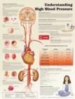 Image for Understanding High Blood Pressure