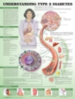 Image for Understanding Type 2 Diabetes Anatomical Chart