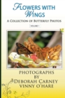 Image for Flowers With Wings : Butterfly Photographs Coffee Table Books for Kindle