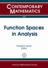 Image for Function Spaces in Analysis