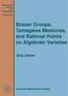 Image for Brauer Groups, Tamagawa Measures, and Rational Points on Algebraic Varieties