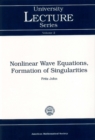 Image for Nonlinear Wave Equations, Formation of Singularities