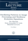 Image for Oscillating Patterns in Image Processing and Nonlinear Evolution Equations : v. 22