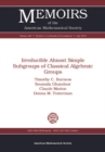 Image for Irreducible almost simple subgroups of classical algebraic groups
