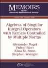 Image for Algebras of singular integral operators with kernels controlled by multiple norms