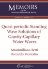 Image for Quasi-periodic Standing Wave Solutions of Gravity-Capillary Water Waves