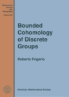 Image for Bounded cohomology of discrete groups