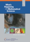 Image for What&#39;s Happening in the Mathematical Sciences, Volume 11