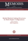 Image for Medial-skeletal linking structures for multi-region configurations