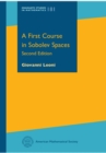 Image for A first course in Sobolev spaces : 181